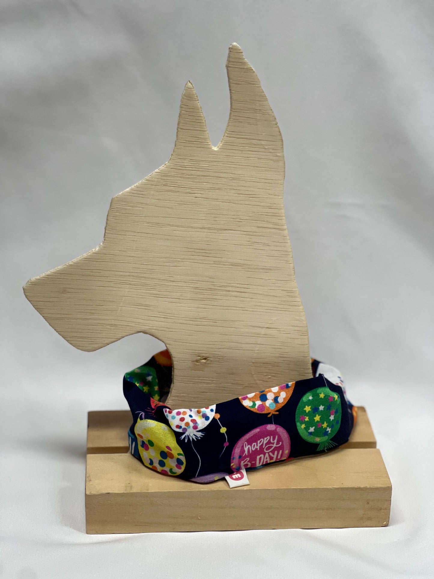 Sandy Sleeves Birthday Balloons