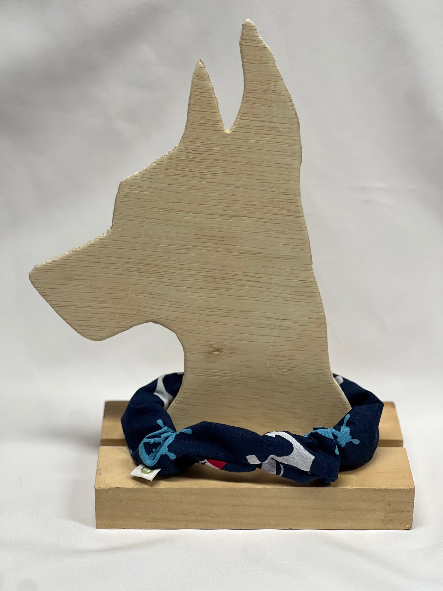 Sandy Sleeve “Seas the Day”